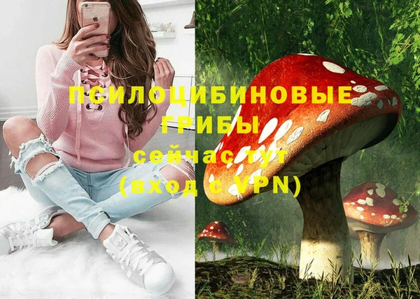 метадон Армянск