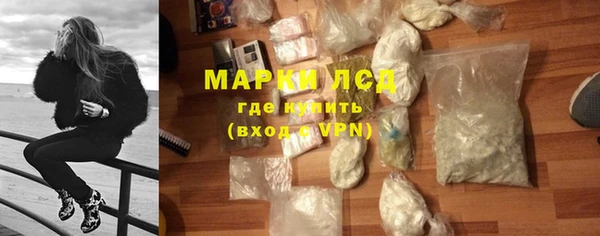 гидра Богородицк