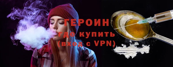 гидра Богородицк