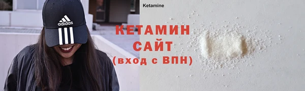 гидра Богородицк