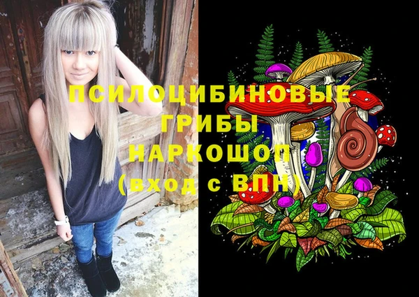 сатива Аркадак