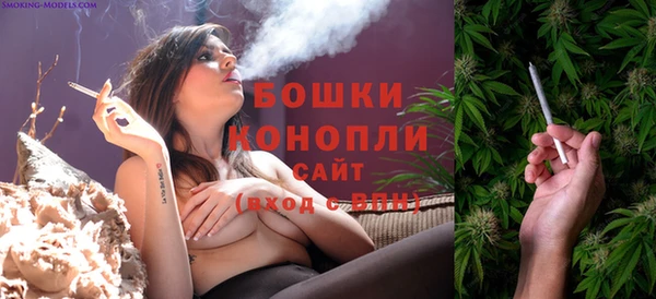сатива Аркадак