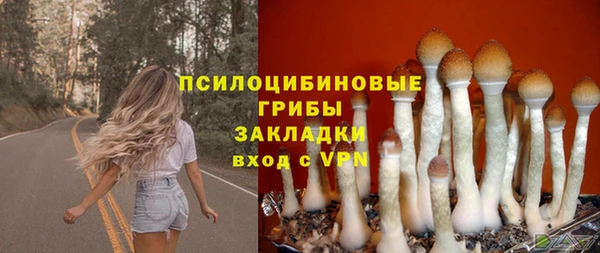 гидра Богородицк