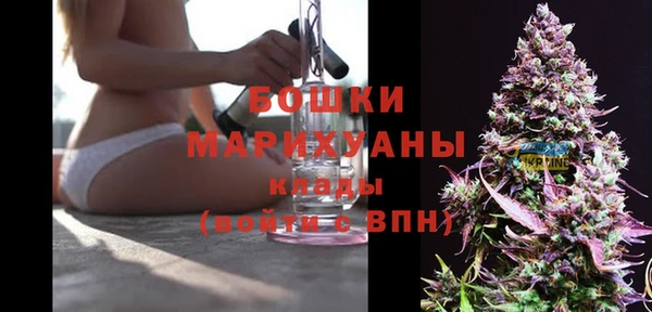 сатива Аркадак