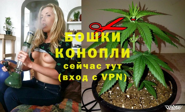 гидра Богородицк