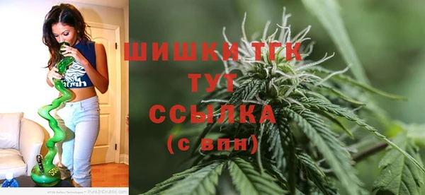 сатива Аркадак