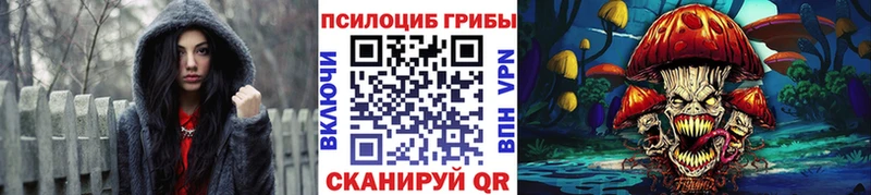 OMG ССЫЛКА наркота Красный Кут Галлюциногенные грибы Psilocybine cubensis